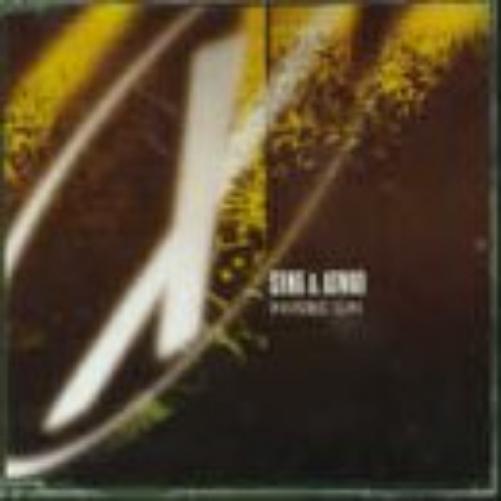 Sting Invisible Sun (CD)