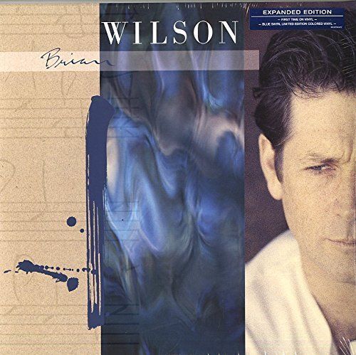 WILSON BRIAN BRIAN WILSON EXPANDED VERSION 2 VINILI LP RSD BLACK FRIDAY 2015