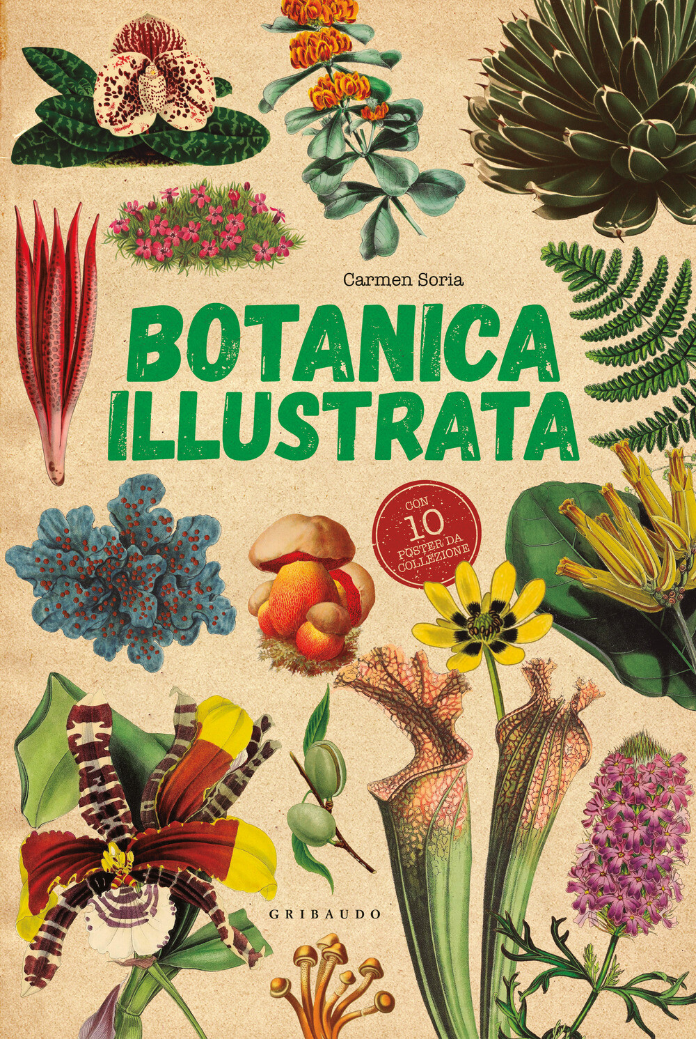 Libri Soria Carmen - Botanica Illustrata. Con 10 Poster