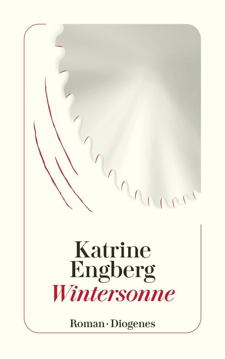 Katrine Engberg Ulrich Sonnen Wintersonne: Der Kopenhagen-Krimi (det (Tascabile)