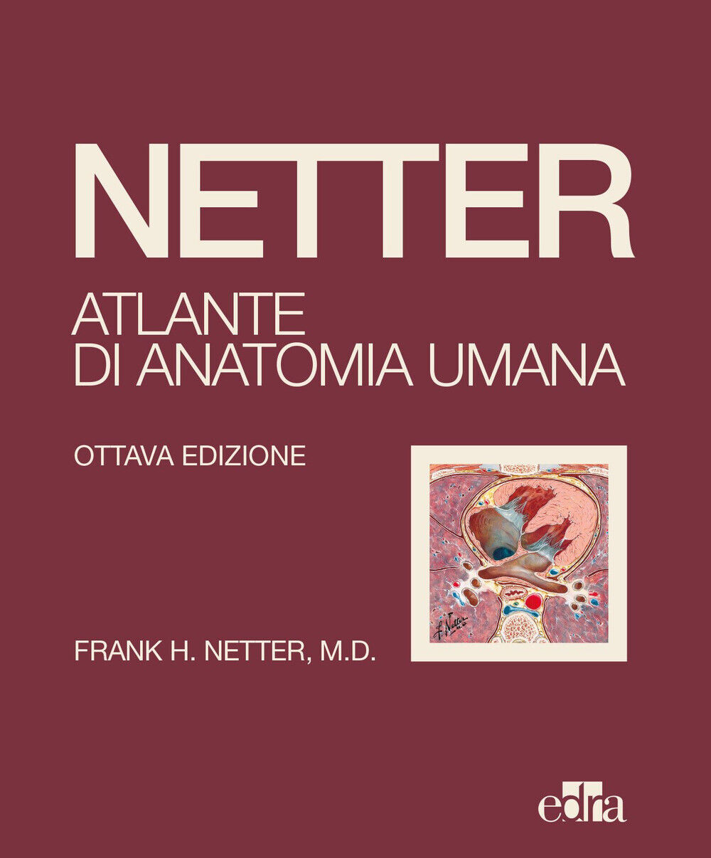 Netter. Atlante di anatomia umana - Netter Frank H.