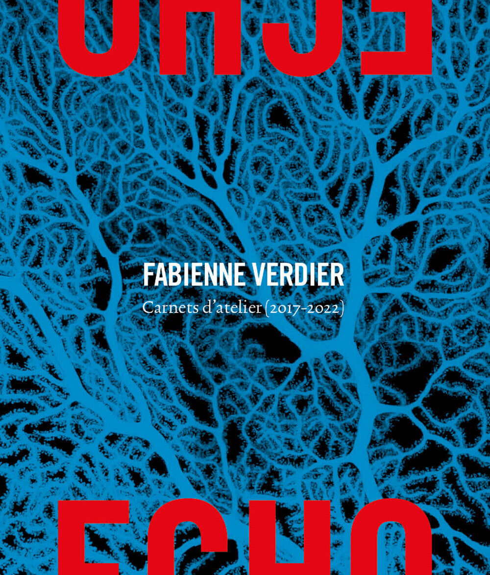 Echo. Carnets d'atelier (2017-2022). Ediz. a colori - Verdier Fabienne