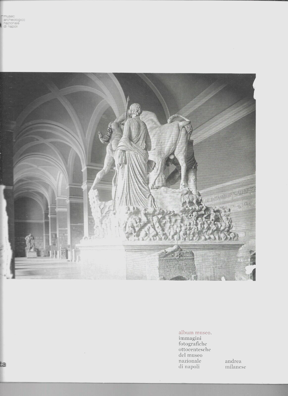 Album Museo. Immagini fotografiche ottocentesche del Museo Nazionale di Napoli.