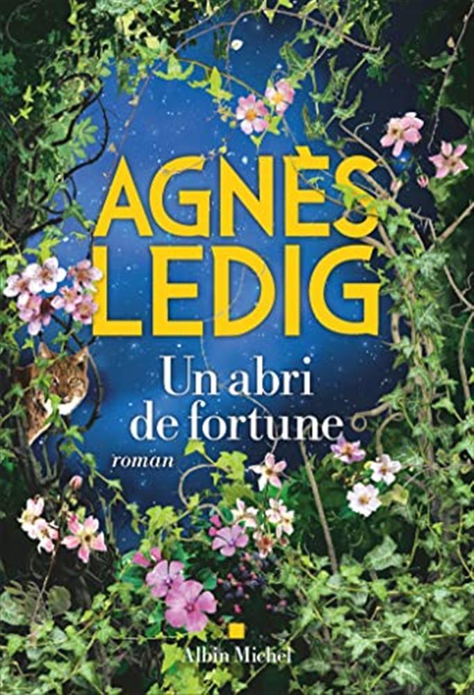 Un abri de fortune: roman - Ledig Agnès