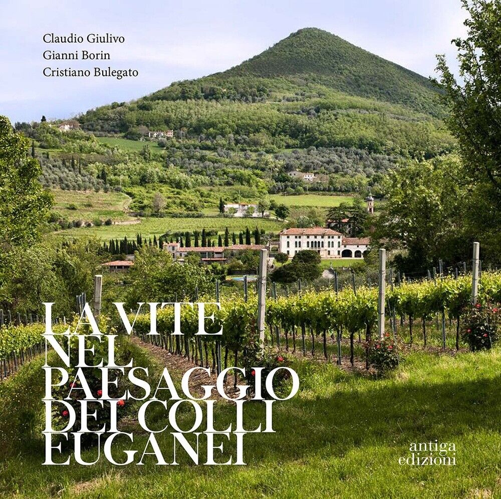 La vite nel paesaggio dei Colli Euganei. Cenni storici, elementi visivi del vign