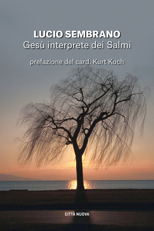 GESU' INTERPRETE DEI SALMI. FEDELTA' ALLA TRADIZIONE E NOVITA' DI SENS SEMBRANO