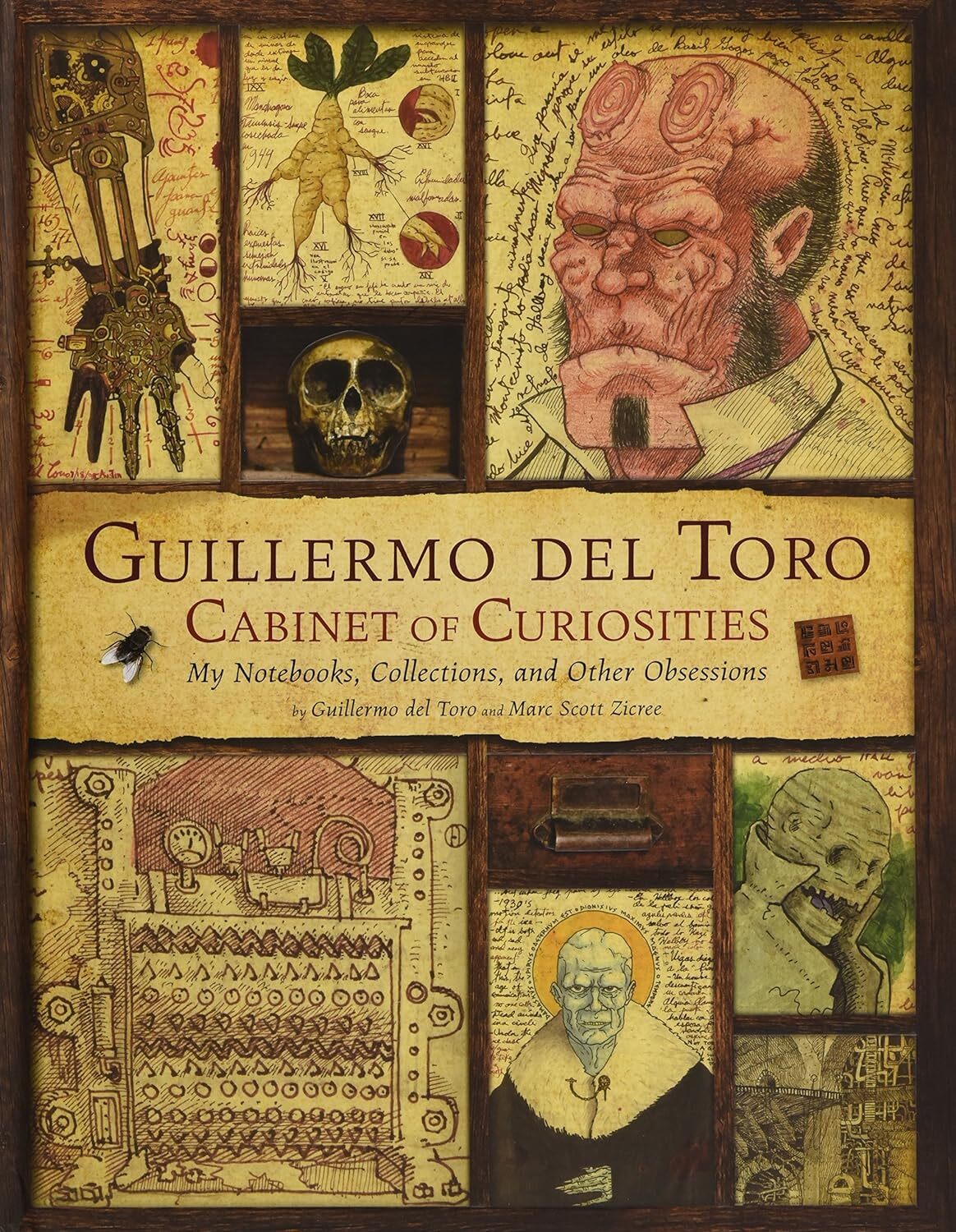 9781781169261 Cabinet of Curiosities: My Notebooks, Collections,...er Obsessions