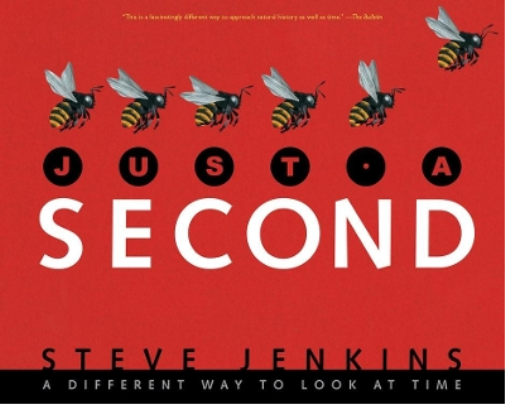 Steve Jenkins Just a Second (Tascabile)