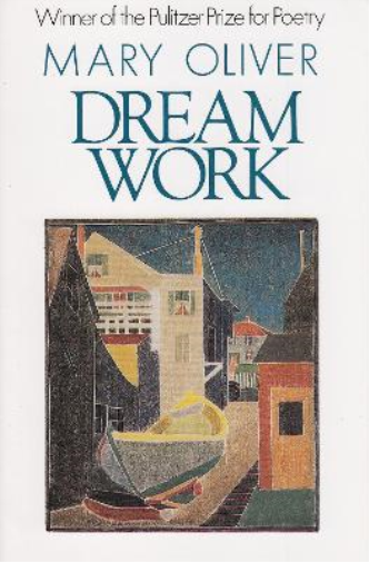 Mary Oliver Dream Work (Tascabile)