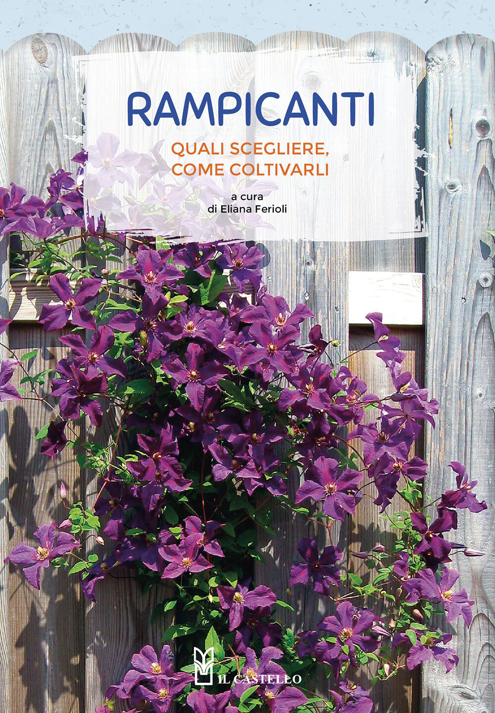 Rampicanti. Quali scegliere, come coltivarli - Ferioli Eliana