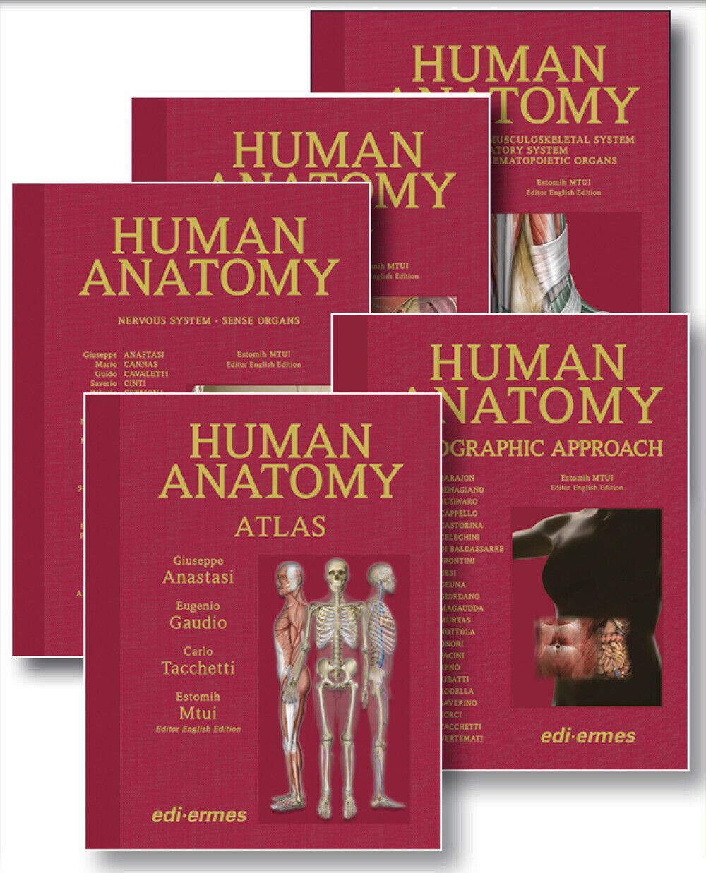 Anatomy bag plus. Treatise on Human Anatomy, Topographic Approach, Atlas. ...