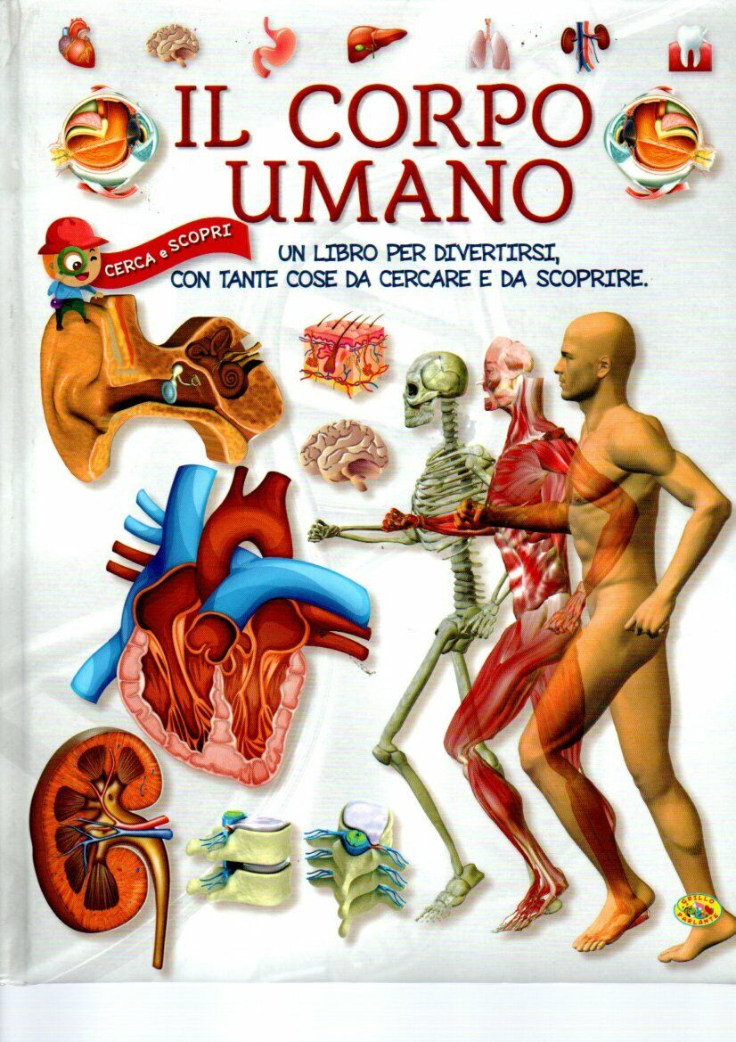IL CORPO UMANO - carca e scopri - bambini e ragazzi - libro interattivo