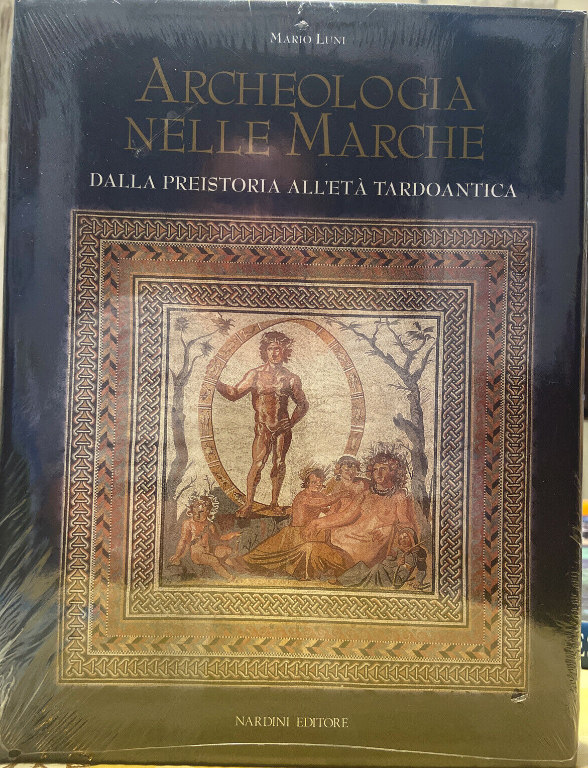 ARCHEOLOGIA NELLE MARCHE MARIO LUNI NARDINE EDITORE