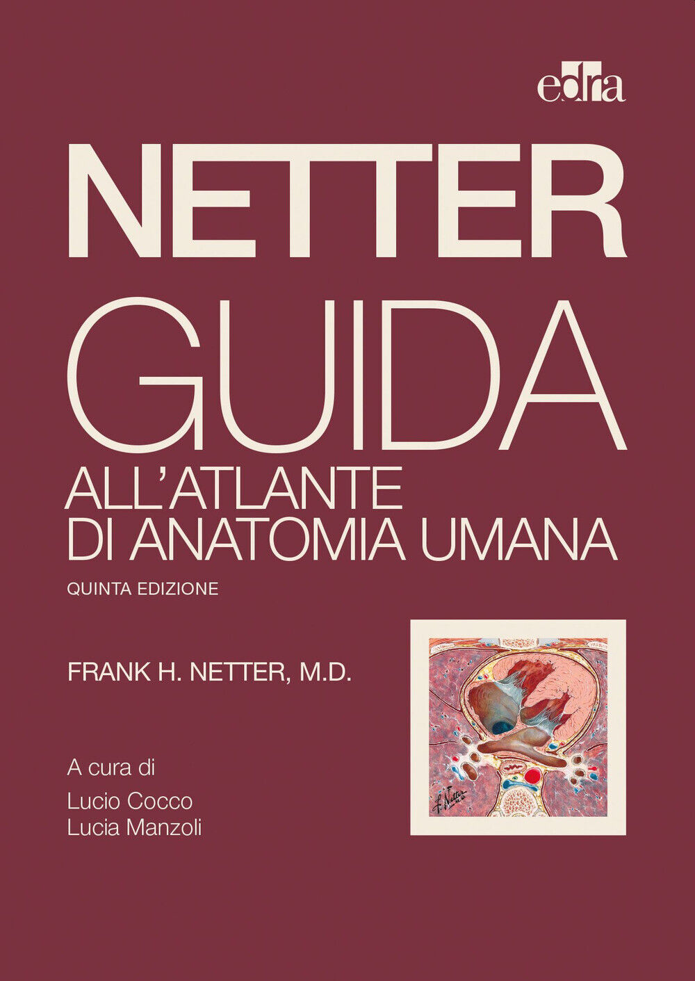 Netter. Guida all'atlante di anatomia umana - Netter Frank H.