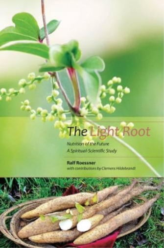 Ralf Roessner Clemens Hildebrandt The Light Root (Tascabile)