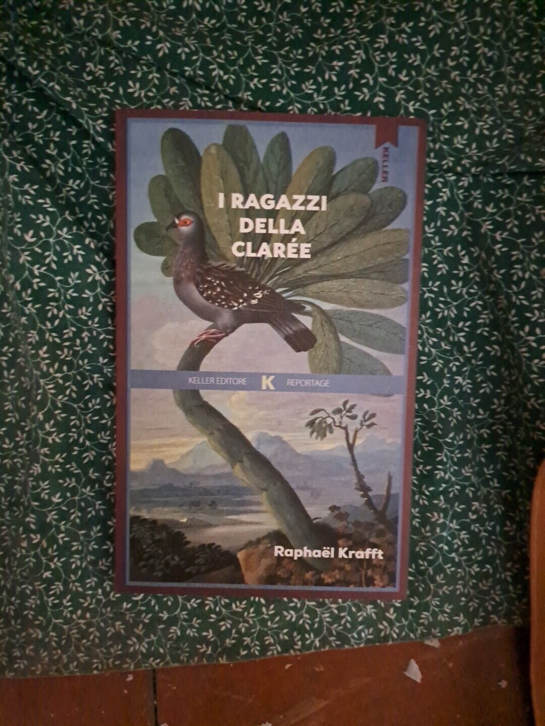 I ragazzi della Clarée - Krafft Raphaël