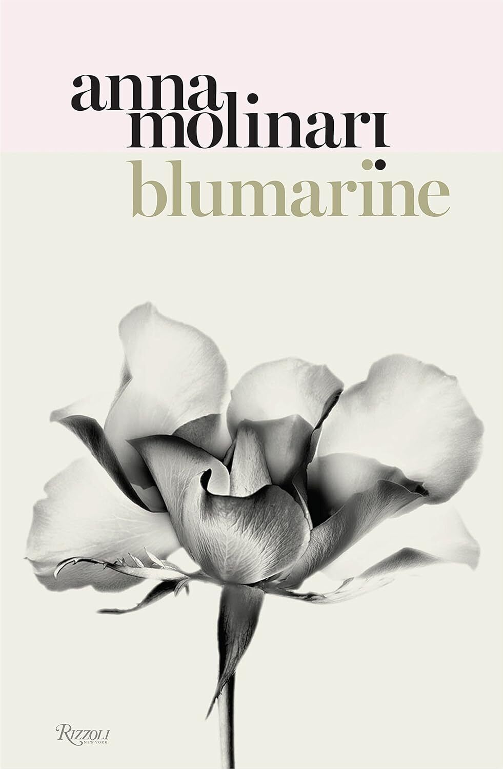 9780847849581 Blumarine: Anna Molinari: Anna Molinari: The Queen...e Fairy Story
