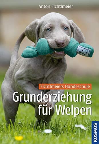 Anton Fichtlmei Grunderziehung für Welpen: Fichtlmeiers Hunde (Copertina rigida)