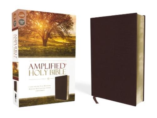 Amplified Holy Bible, Bonded Leather, Burgundy (Rilegato in ecopelle)
