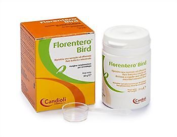 Florentero Bird - 30GR