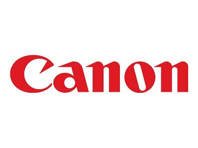 Canon Separation Pad für DR-G2090/DR-G2110/DR-G2140 Altri accessori 3601C005