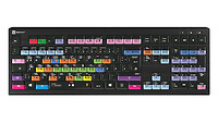 Logickeyboard LKB-FLS-A2PC-DE Full-size (100%) USB Tasto con LKB-FLS-A2PC-DE