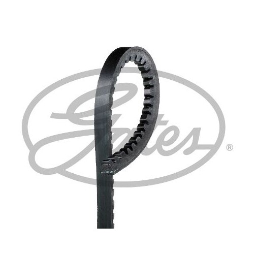Cinghia Trapezoidale Gates AVX10x1500HD Fleetrunner™ V-belt per Man Mitsubishi