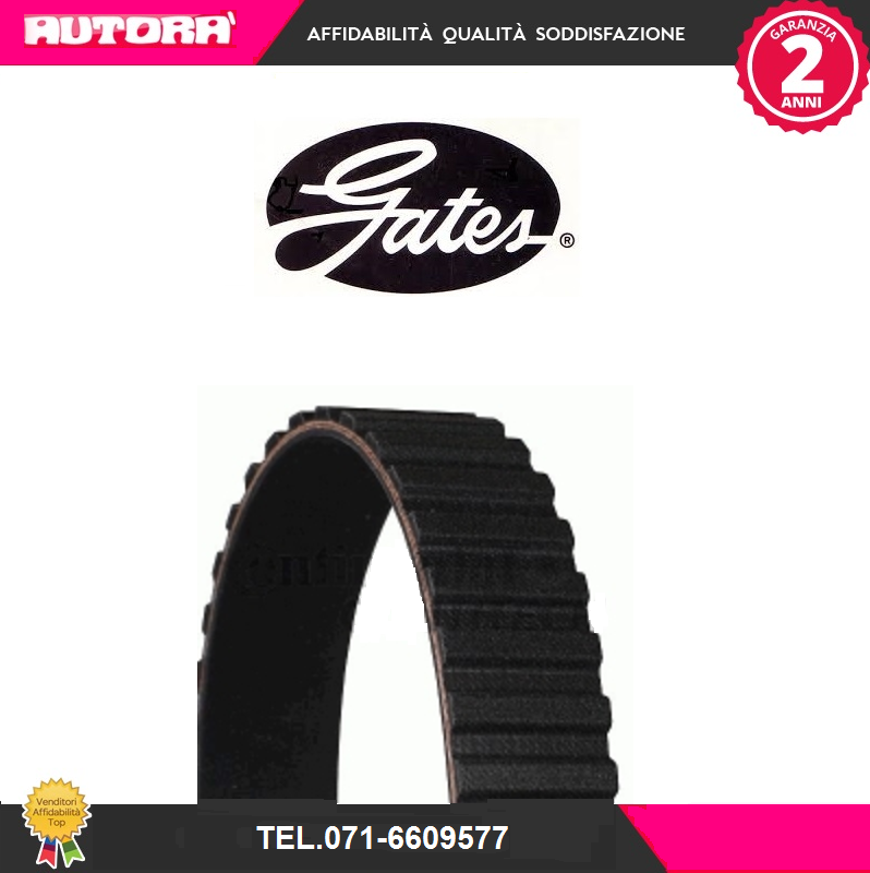 5065 Cinghia dentata (MARCA-GATES)