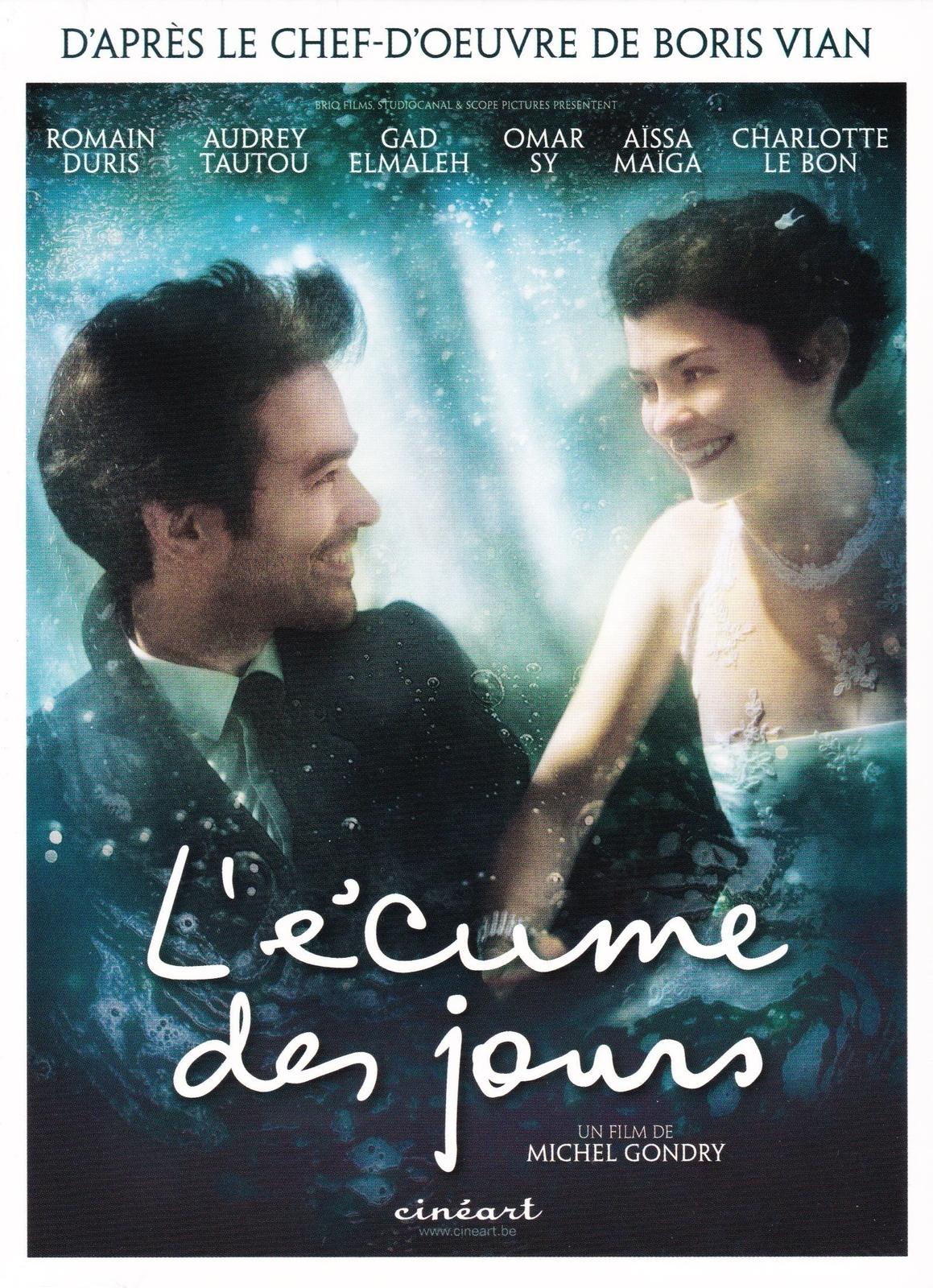 L Écume des jours (DVD)