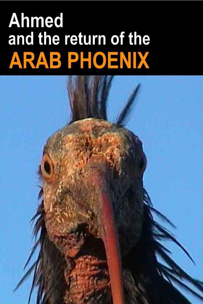 Ahmed and the Return of the Arab Phoenix (DVD)