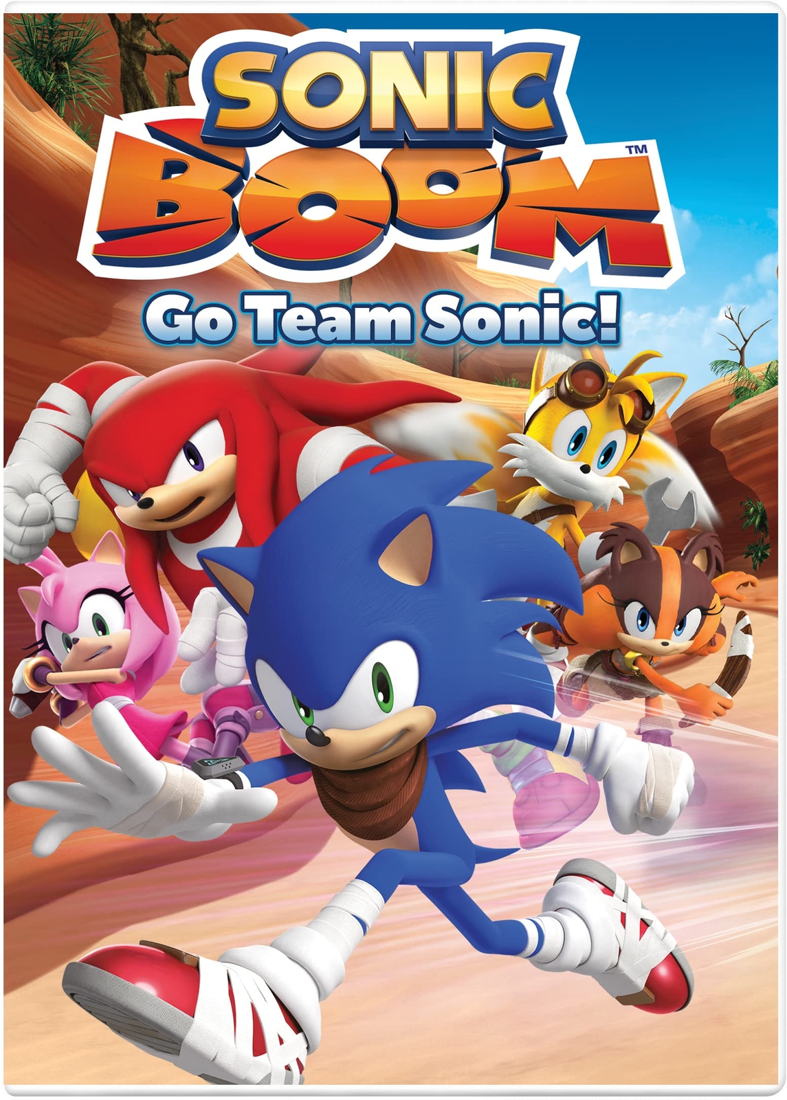 Sonic Boom: Go Team Sonic! (DVD) Roger Craig Smith Colleen O'Shaughnessey