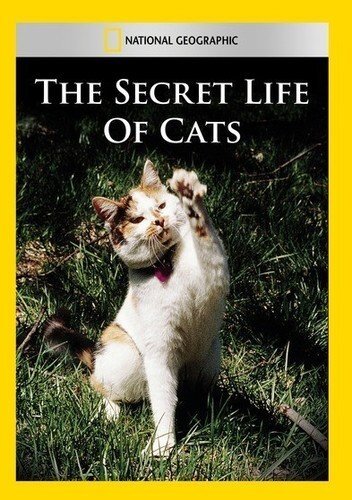 The Secret Life of Cats (DVD)