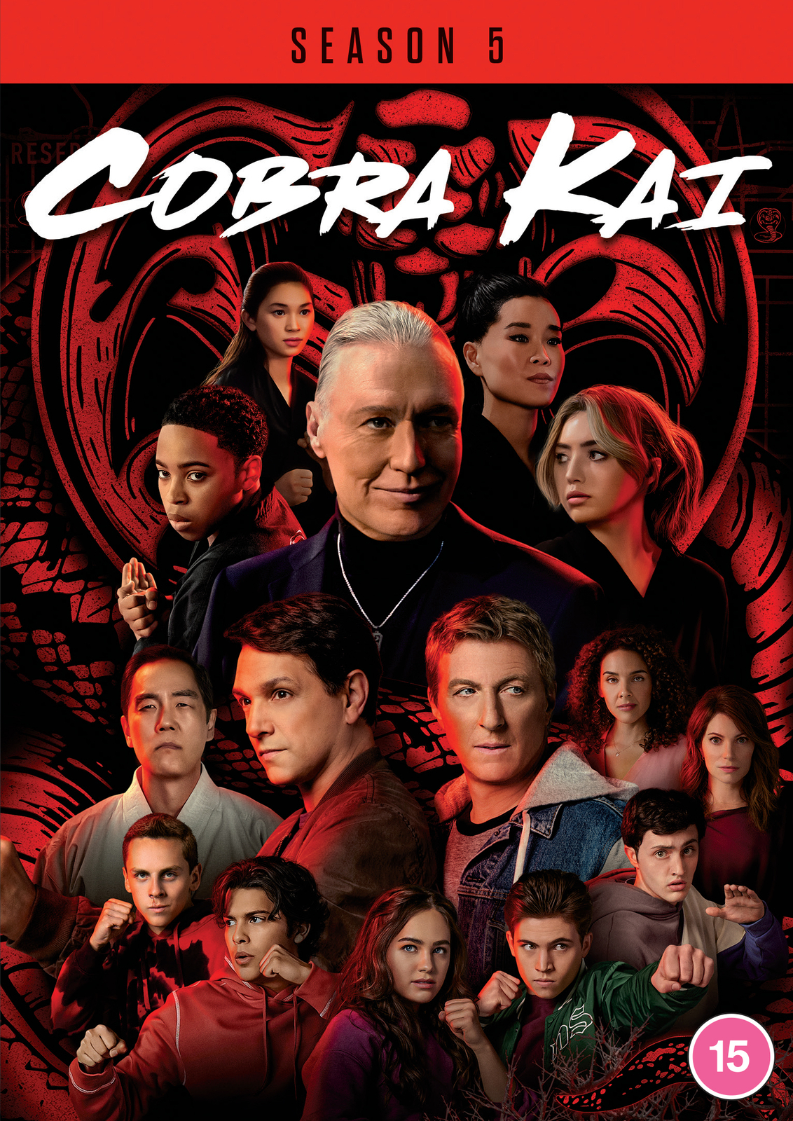 Cobra Kai: Season 5 (DVD) Ralph Macchio William Zabka Peyton List Martin Kove