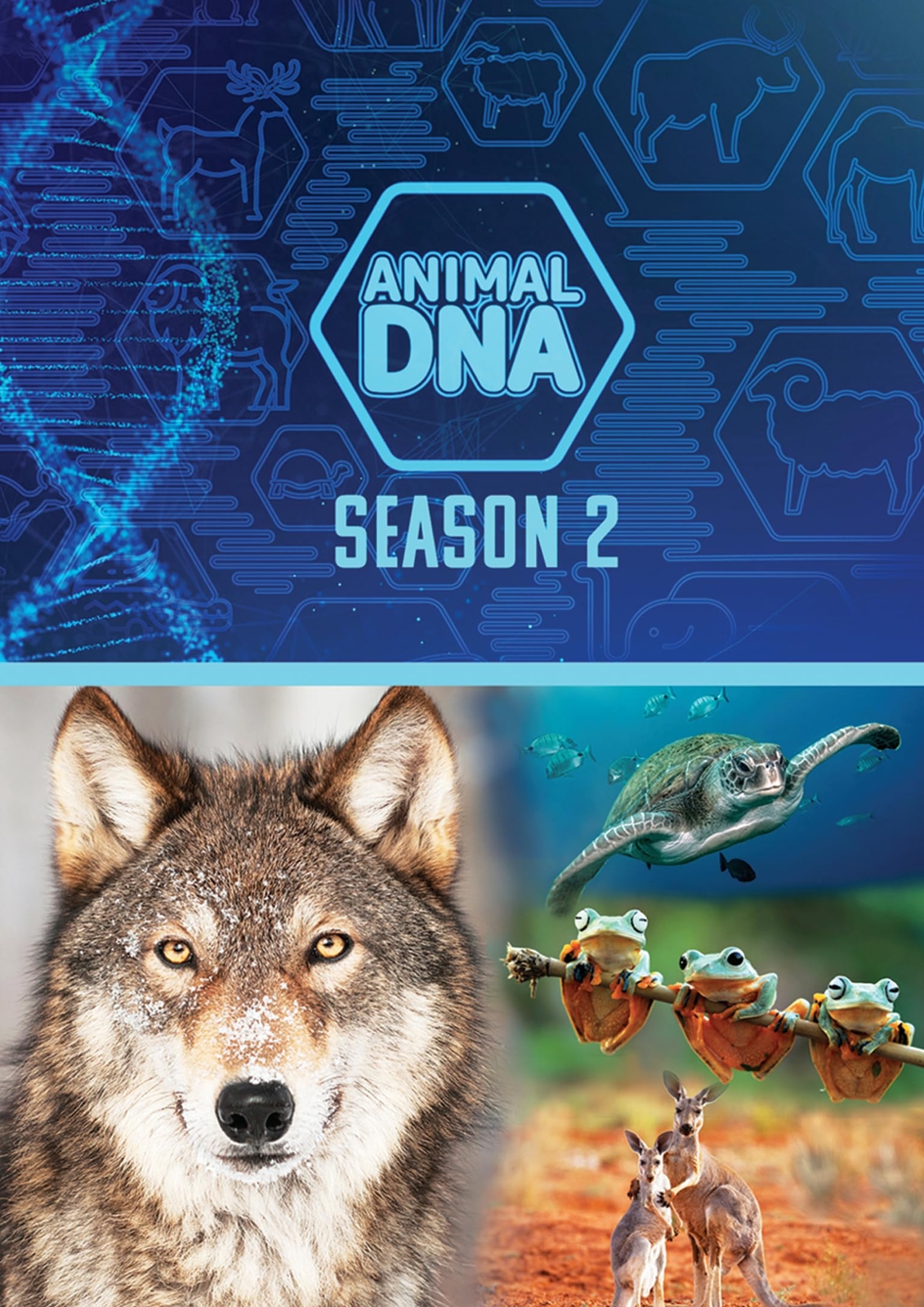 Animal Dna: Season Two (DVD) Clayton Mcdonnell