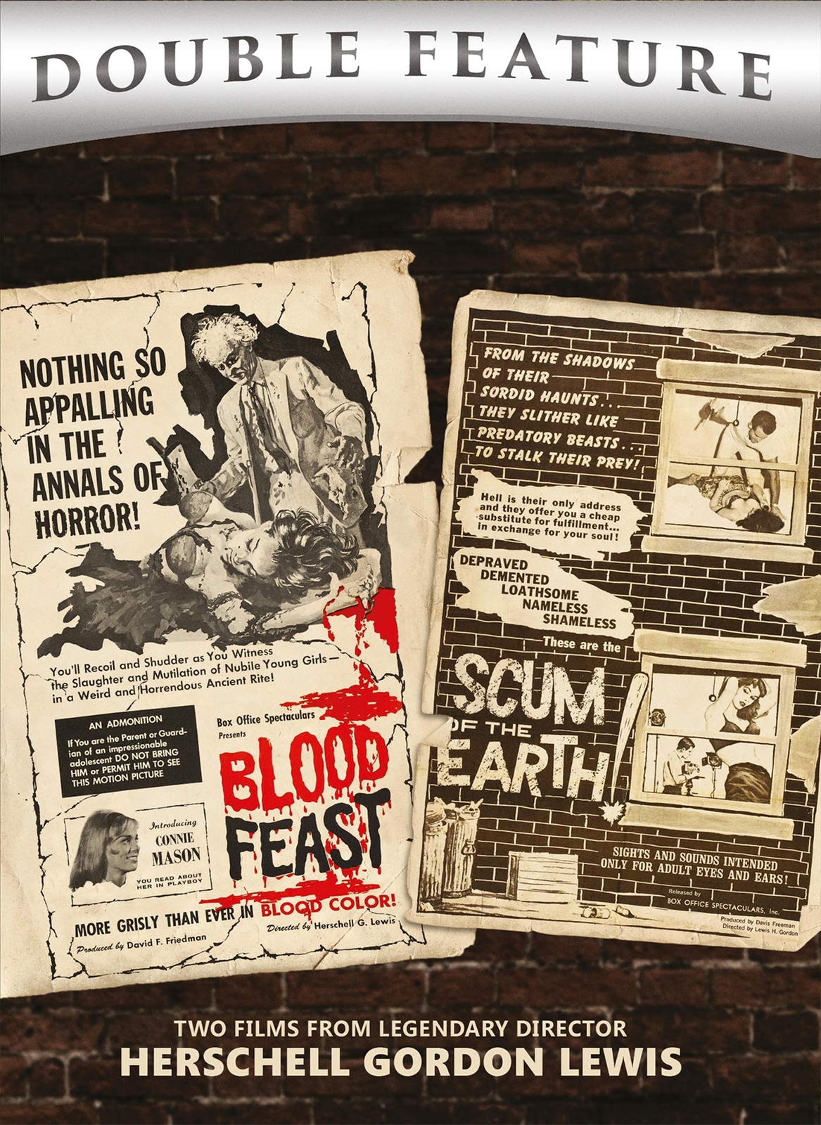 Blood Feast + Scum of the Earth (Double Feature) (DVD) William Kerwin Mal Arnold