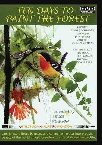Ten Days to Paint the Forest (DVD)