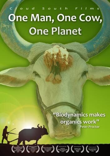 How to Save the World (DVD)