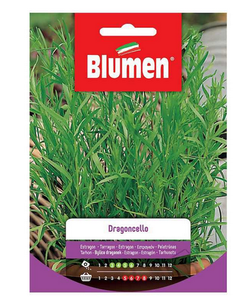 BLUMEN SEMI DI DRAGONCELLO pianta aromatica