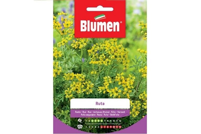 Blumen semi Ruta