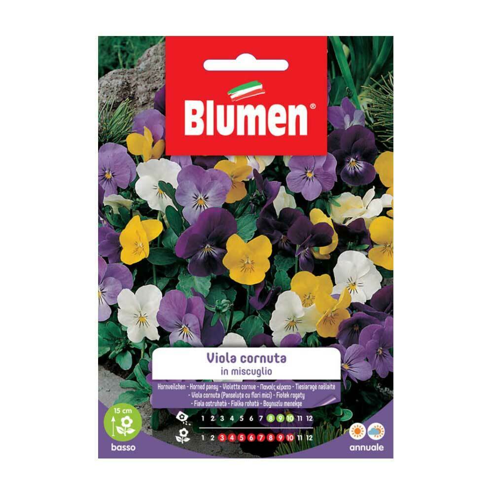 SEMI VIOLA CORNUTA MIX BLUMEN