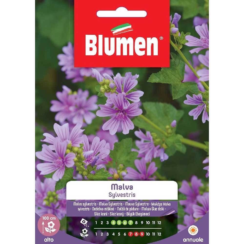 SEMI MALVA SYLVESTRIS BLUMEN