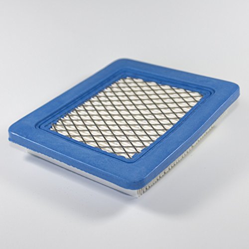 Filtro Aria Motore Briggs&Stratton - Bm1208