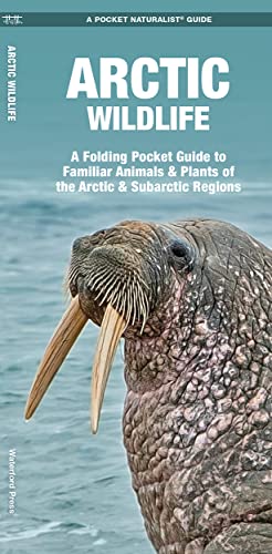 Arctic Wildlife: A Folding Pocket Guide To Familiar Animals & Plants Of The Arctic & Subarctic Regions: An Introduction To Familiar Species