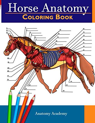 Horse Anatomy Coloring Book: Incredibly Detailed Self-Test Equine Anatomy Color Workbook | Perfect Gift For Veterinary Students, Horse Lovers & Adults