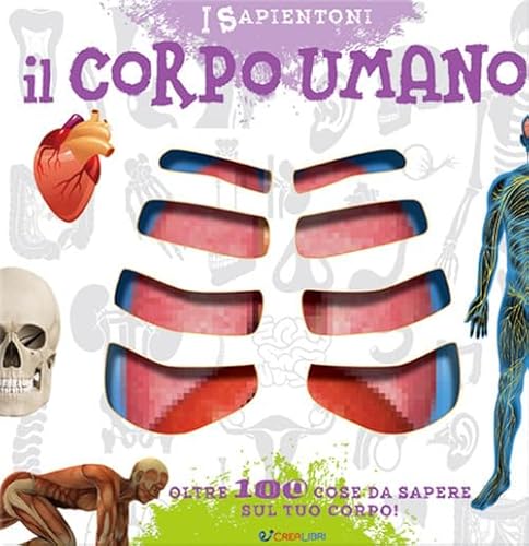 Il Corpo Umano. Oltre 100 Cose Da Sapere Sul Tuo Corpo