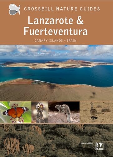 Lanzarote And Fuerteventura: Spain: 39