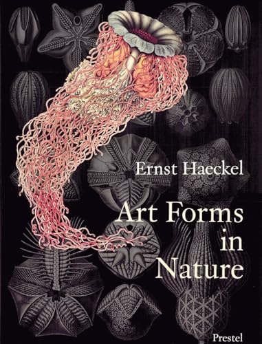 Art Forms In Nature: The Prints Of Ernst Haeckel