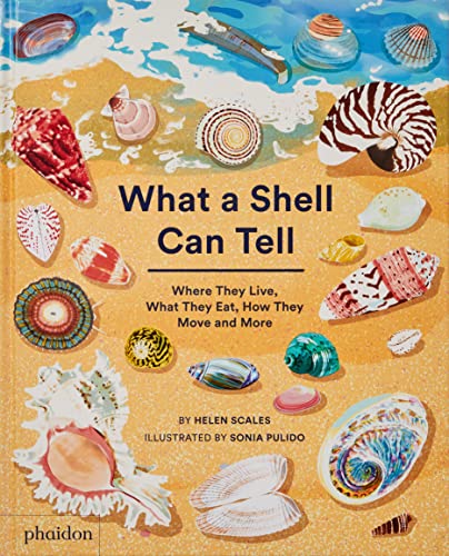 What A Shell Can Tell. Where They Live, What They Eat, How They Move And More