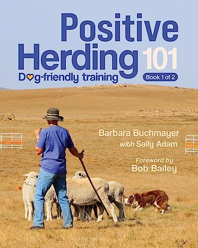 Positive Herding 101: Dog-Friendly Training