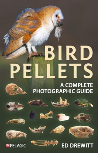 Bird Pellets: A Complete Photographic Guide
